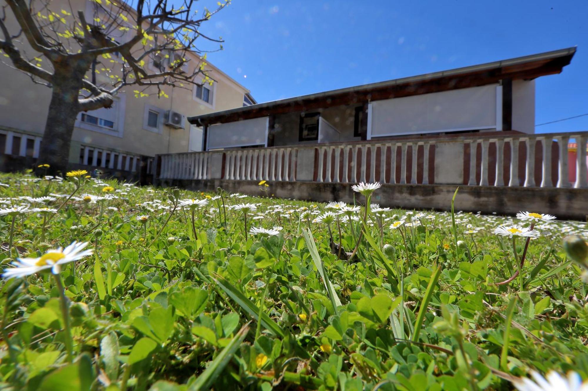 Apartments Ivana Bibinje Eksteriør billede